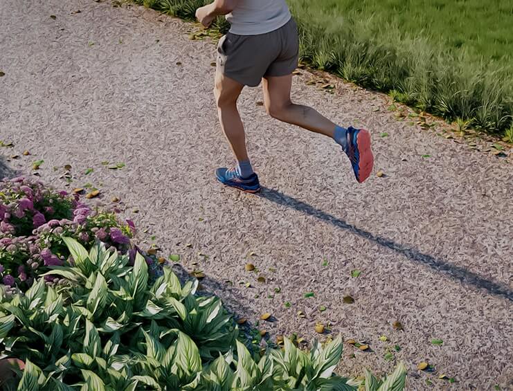 Mahendra Arto Helix - Luxury 2BHK & 3BHK Flats in Electronic City Bangalore - Image Gallery - Elevation, Landscaping & Amenities